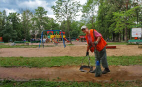 Жители Всеволожска недовольны благоустройством микрорайона Южный