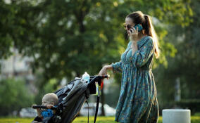 Ленинградской маме помогут получить выплату за рождение ребенка после звонка губернатору