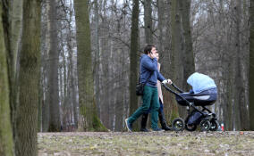 Петербургские предприятия могут получить льготы за поддержку семейных сотрудников