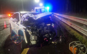 На М-11 внедорожник столкнулся с микроавтобусом. Пострадали двое