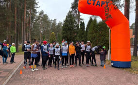 В поселке Будогощь прошли соревнования по трейловому бегу