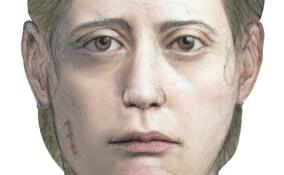 СК просит помощи в опознании женщины, чьи останки нашли в канаве во Всеволожском районе