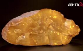 Уникальный образец янтаря весом более двух килограммов нашли в Калининграде