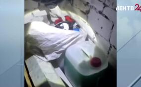 В Ленобласти таможенники обезвредили нарколабораторию