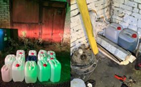 В Ленобласти нашли лабораторию с сырьем для производства наркотиков на 400 млн рублей