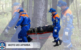 Тело человека обнаружили в канаве в одном из СНТ Кировского района