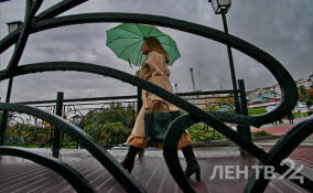 Небольшие дожди и до +9 градусов: о погоде в Ленобласти 29 октября