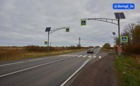 Дорожники обновили участок трассы Анташи – Ропша – Красное Село