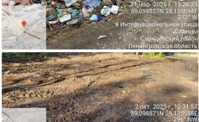 Эконадзор добился ликвидации крупной свалки в Сланцевском районе