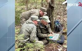 В Киришском районе поисковики обнаружили самолет и останки Василия Гречишникова и его экипажа