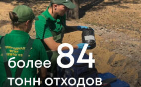 У Финского залива в Ленобласти незаконно сбросили 84 тонны мусора