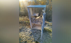 Молодую пару в Петербурге заподозрили в поджоге батарейного шкафа на железной дороге