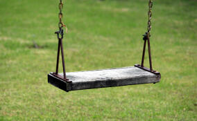 Мужчина стрелял из аэрозольного пистолета по подросткам на площадке в Петербурге