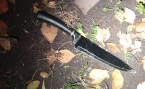 Пьяный мужчина ударил ножом соседа по коммуналке в Петербурге