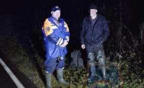 Спасатели и волонтеры всю ночь искали мужчину в лесу у поселка Торковичи