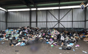 Тело мужчины нашли при разгрузке мусоровоза на Волхонском шоссе