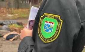 Госэконадзор и экомилиция провели рейд по контейнерным площадкам во Всеволожске