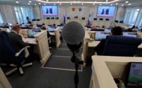 ТОП - 10 ЛЕНИНГРАДСКИХ ЗАКОНОВ «2025»: В приоритете интересы жителей