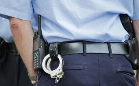 Группа несовершеннолетних избила 14-летнего подростка в Приозерске