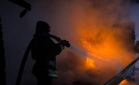 Огонь охватил баню в Ириновке