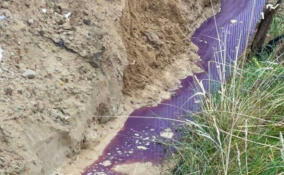 Прокуратура заинтересовалась информацией о сбросе стоков во Всеволожском районе