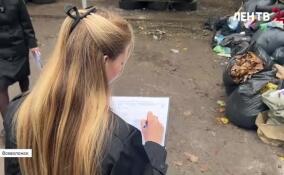 Как прошел рейд госэконадзора и экомилиции по контейнерным площадкам Всеволожска