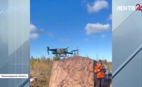 Волонтеры «ЛизаАлерт» провели учения