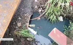 Экомилиция зафиксировала стоки на территории у завода в деревне Разметелево