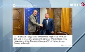 Ленобласть отправит на Донбасс партию из 700 тысяч сеянцев сосны и ели