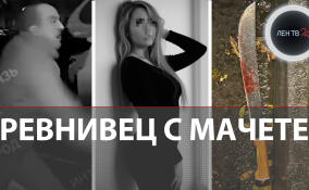 Ревнивец с мачете пытался убить бывшую жену и её возлюбленного при дочке