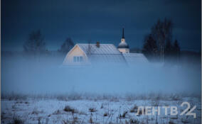 Жителей Ленобласти предупредили о густом тумане