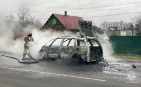 Огонь уничтожил легковушку на дороге в Больших Колпанах