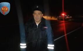 Иномарка насмерть сбила пешехода в Лодейнопольском районе