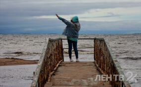 Небольшие дожди и до +9 градусов ождаются в Ленобласти 1 ноября