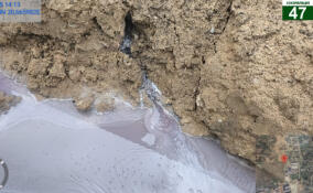 Эконадзор Ленобласти пресёк сброс химических стоков под Всеволожском