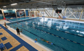 Льготники смогут заниматься во Всеволожском ФОКе на специальных условиях