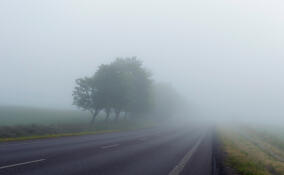 До +8, дожди и туман: прогноз погоды в Ленобласти на 2 ноября