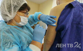 В Ленобласти привились от гриппа более 28% жителей