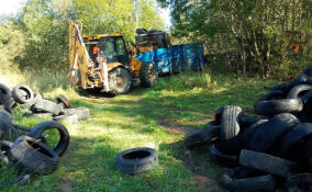 Несанкционированную свалку шин ликвидировали в Ульяновке