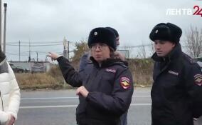 Комитет по дорожному хозяйству, Ленавтодор и ГИБДД проверили ситуацию на участке дороги Новая Пустошь — Невская Дубровка