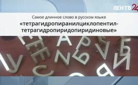 Государственный институт русского языка имени Пушкина назвал самое длинное слово в русском языке