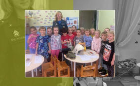 В тихвинском детском саду прошла викторина по пожарной безопасности