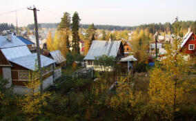 Более 160 семей в Гатчинском округе получили землю под ИЖС