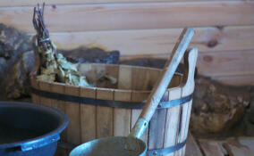 Пожар в Сланцевском районе: в деревне Кологриво уничтожены баня и автомобиль