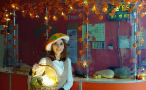 Оранжевая осень: МФЦ Ленобласти украсили к праздникам