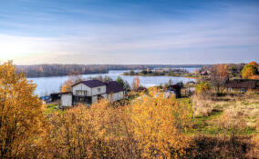 Дожди и туман ожидаются в Ленобласти 3 ноября