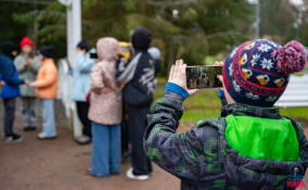 Для юных ленинградцев организованы тематические смены в 30 лагерях