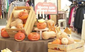 В Петербурге прошла акция «День доброй тыквы»