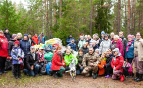 Волонтеры Ленобласти очистили заказник «Котельский»