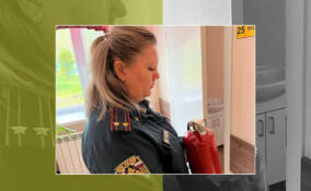 Профилактика прежде всего: инспекторы МЧС проверили социальный объект в Приозерском районе